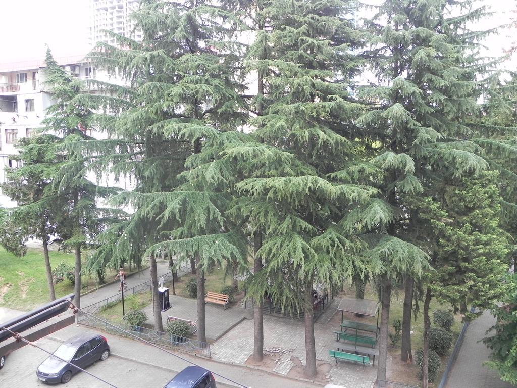 Comfortable Apartment In 巴统 外观 照片